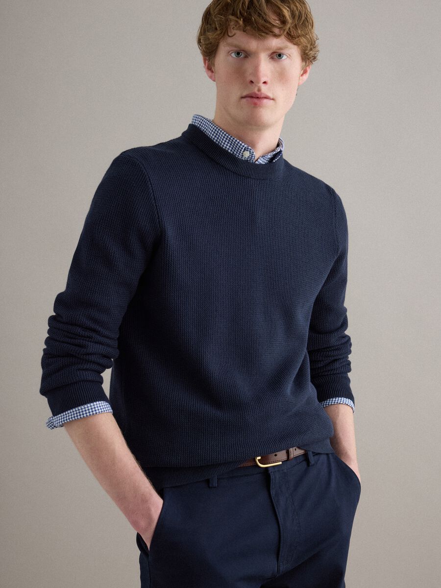 Blue Crewneck Sweater in Pure Cotton Regular Fit_3