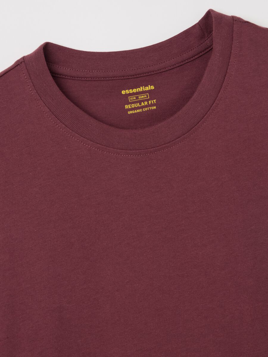 Organic cotton T-shirt_5