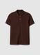 Brown short-sleeved pure cotton polo shirt with regular fit_4