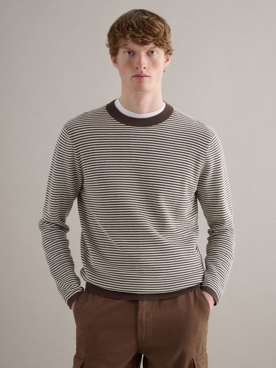 Multicoloured striped pure cotton sweater regular fit_1