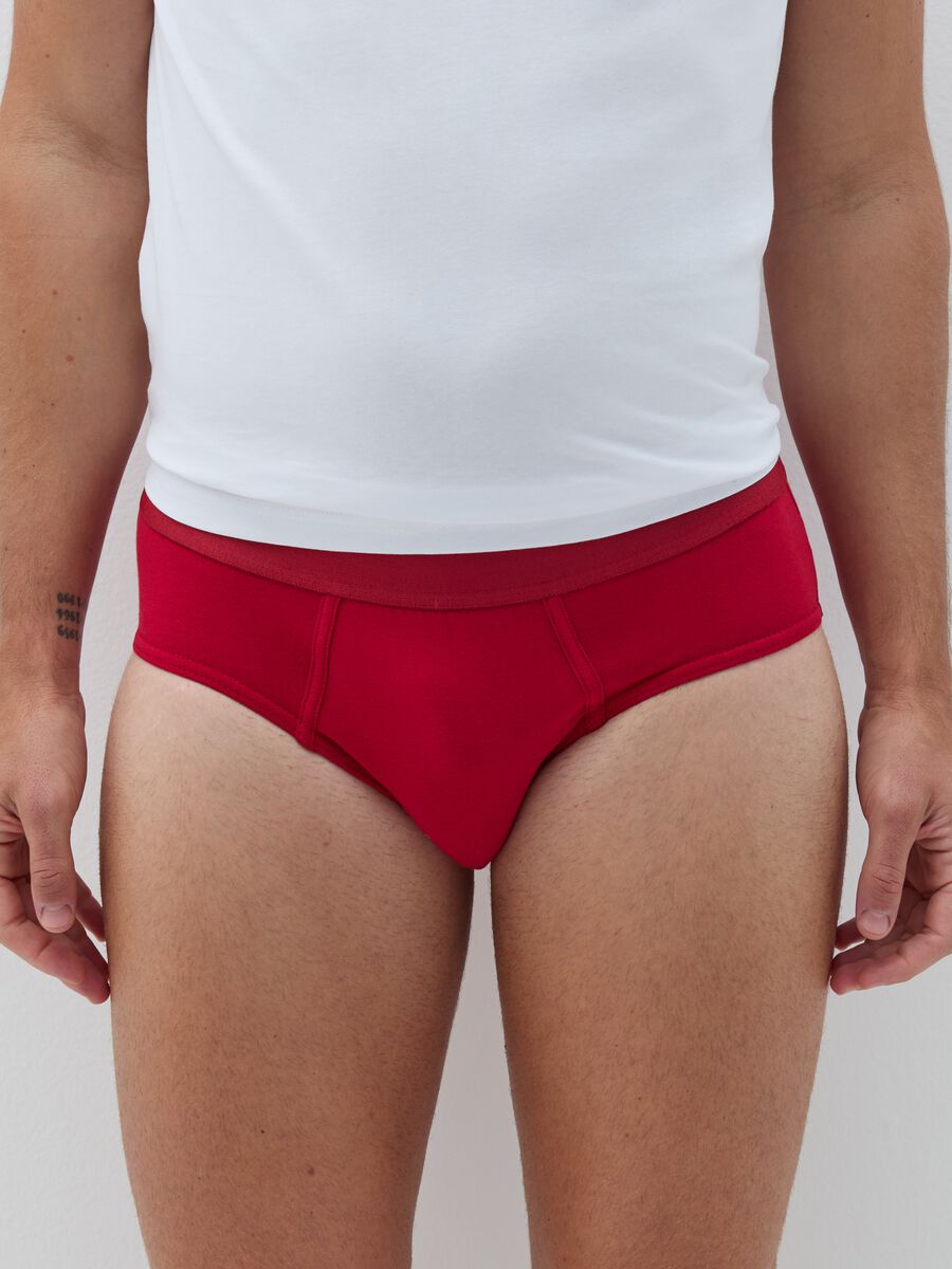 Two-pack briefs in organic cotton with tartan pattern_1
