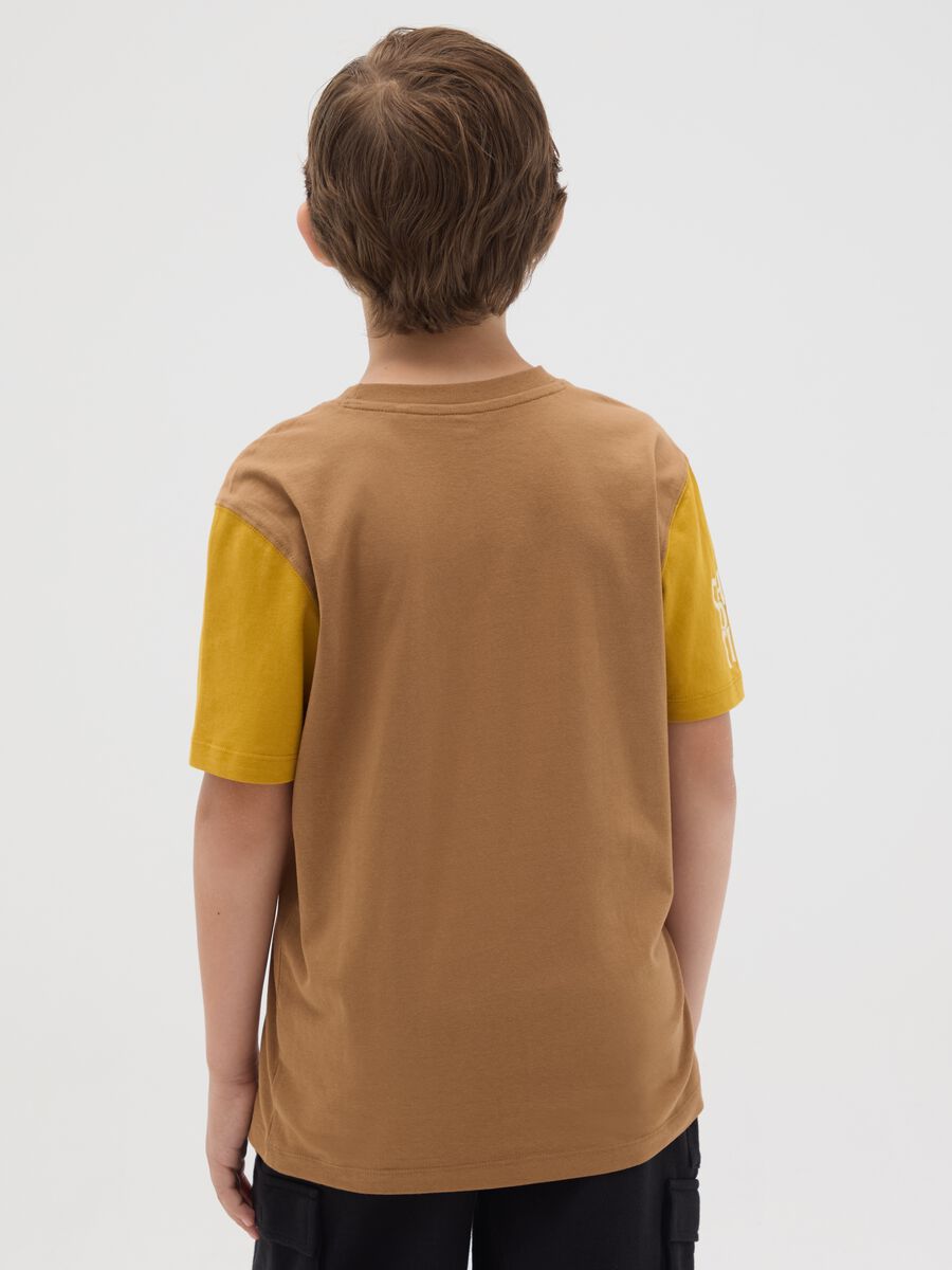 T-shirt da ragazzo in puro cotone multicolor regular fit_1