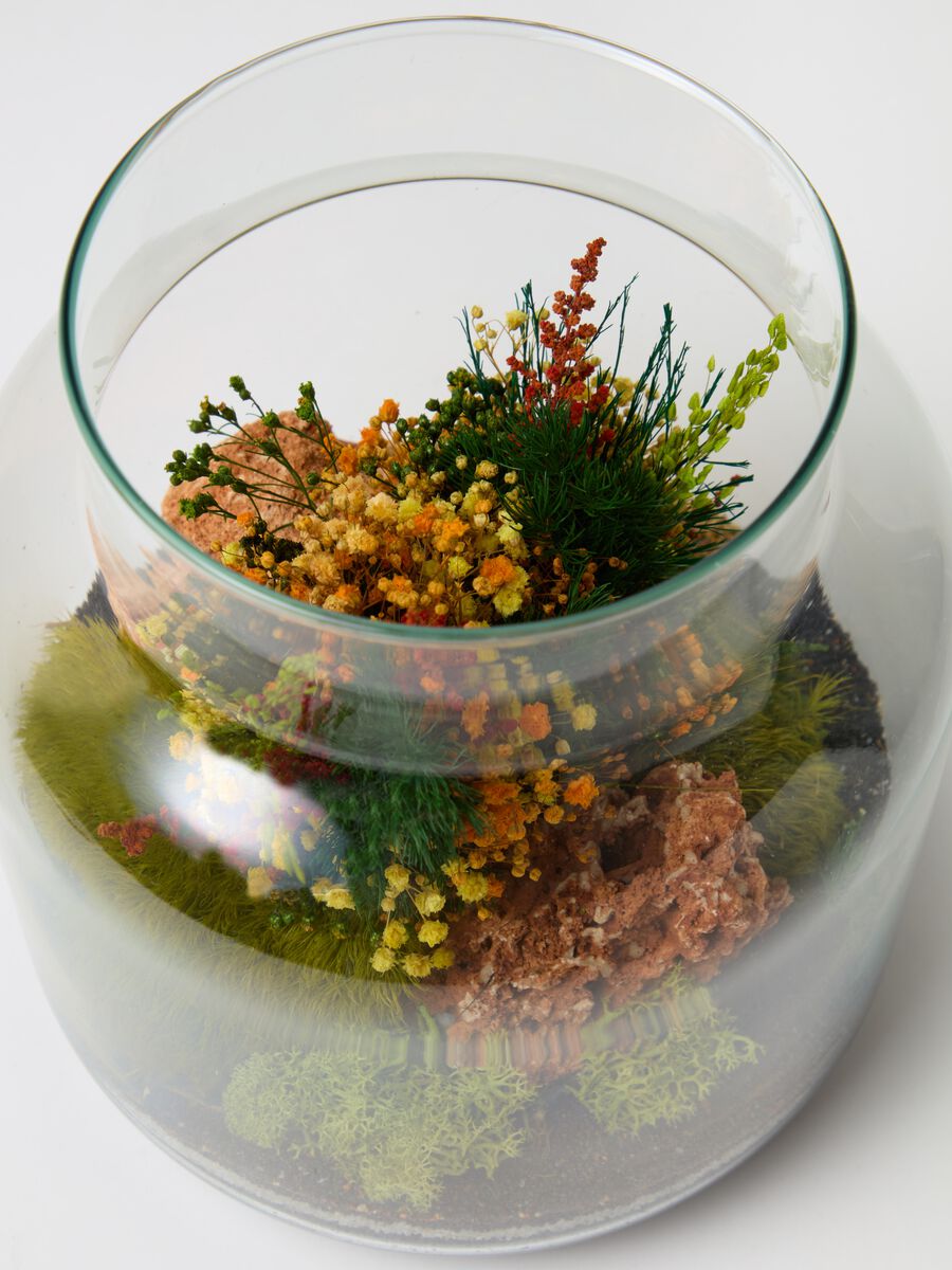 Evergreen Gigi Terrarium_1