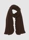 Brown Scarf_0