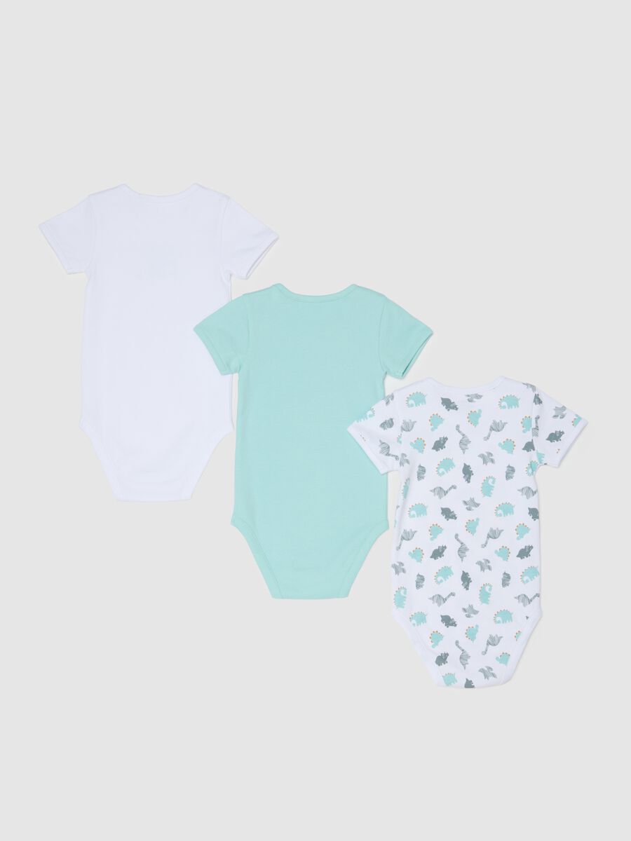 Baby's Multicolour Pure Cotton Bodysuit Set_1