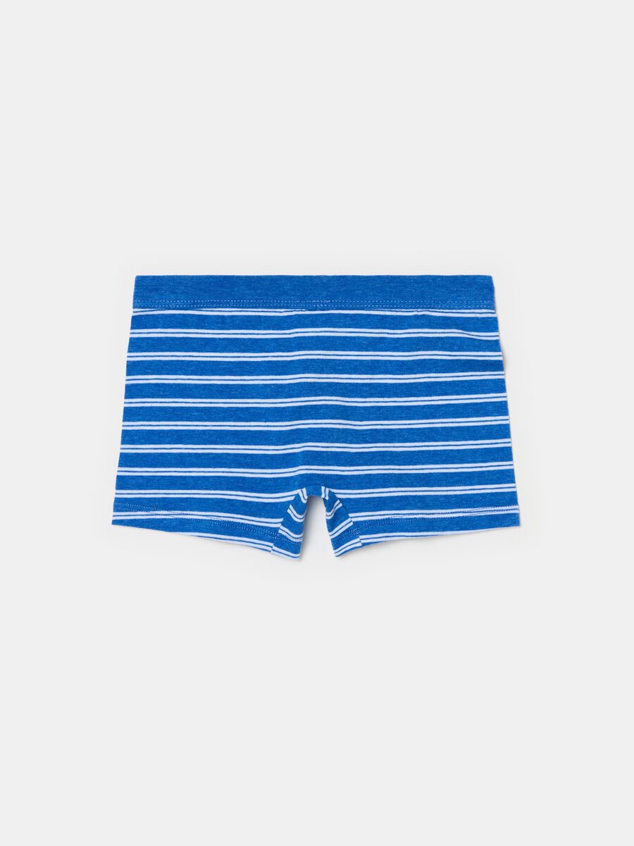 Organic cotton boxer shorts with striped pattern_1