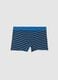 Multicolour cotton regular fit boy's boxers_0