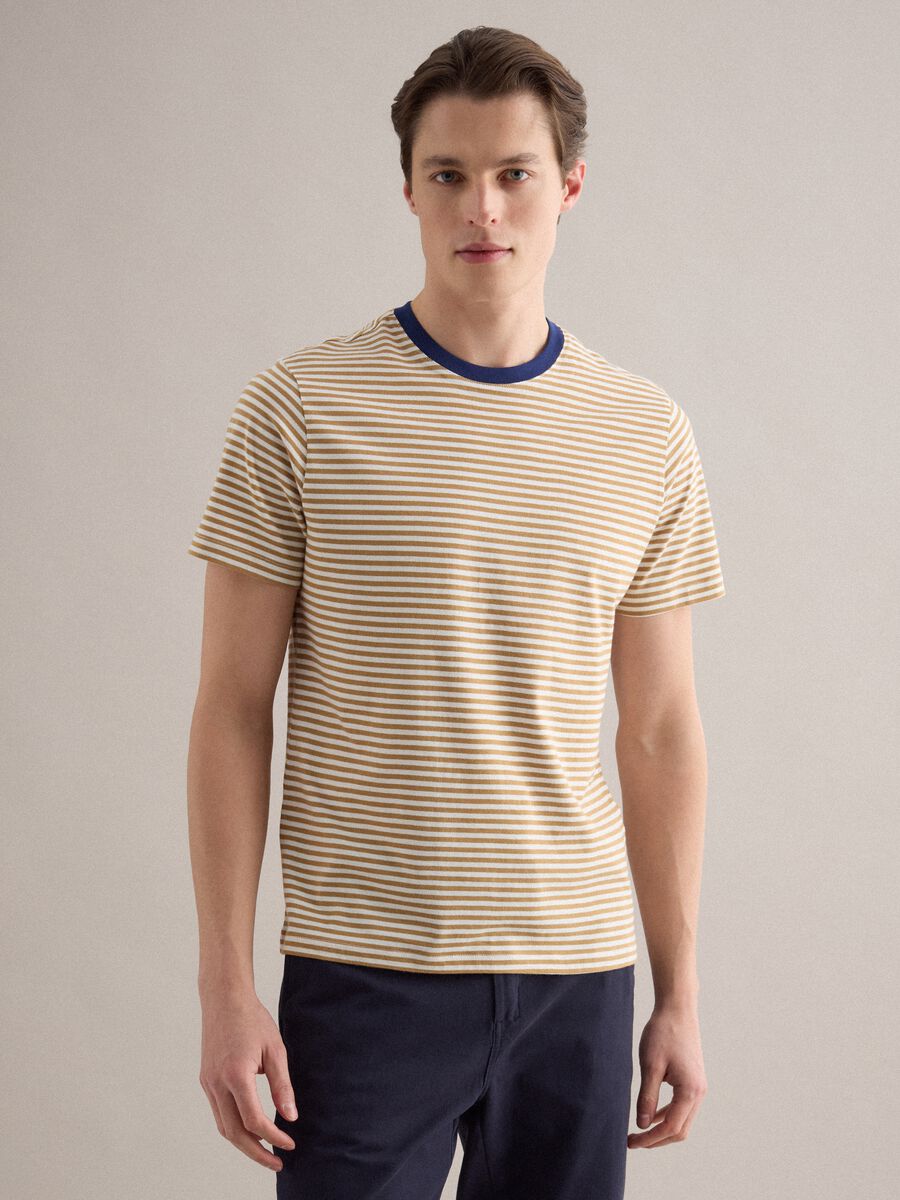 T-shirt in puro cotone a righe multicolor regular fit_1