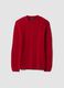 Maglia rossa girocollo in misto lana con lavorazione jacquard_4