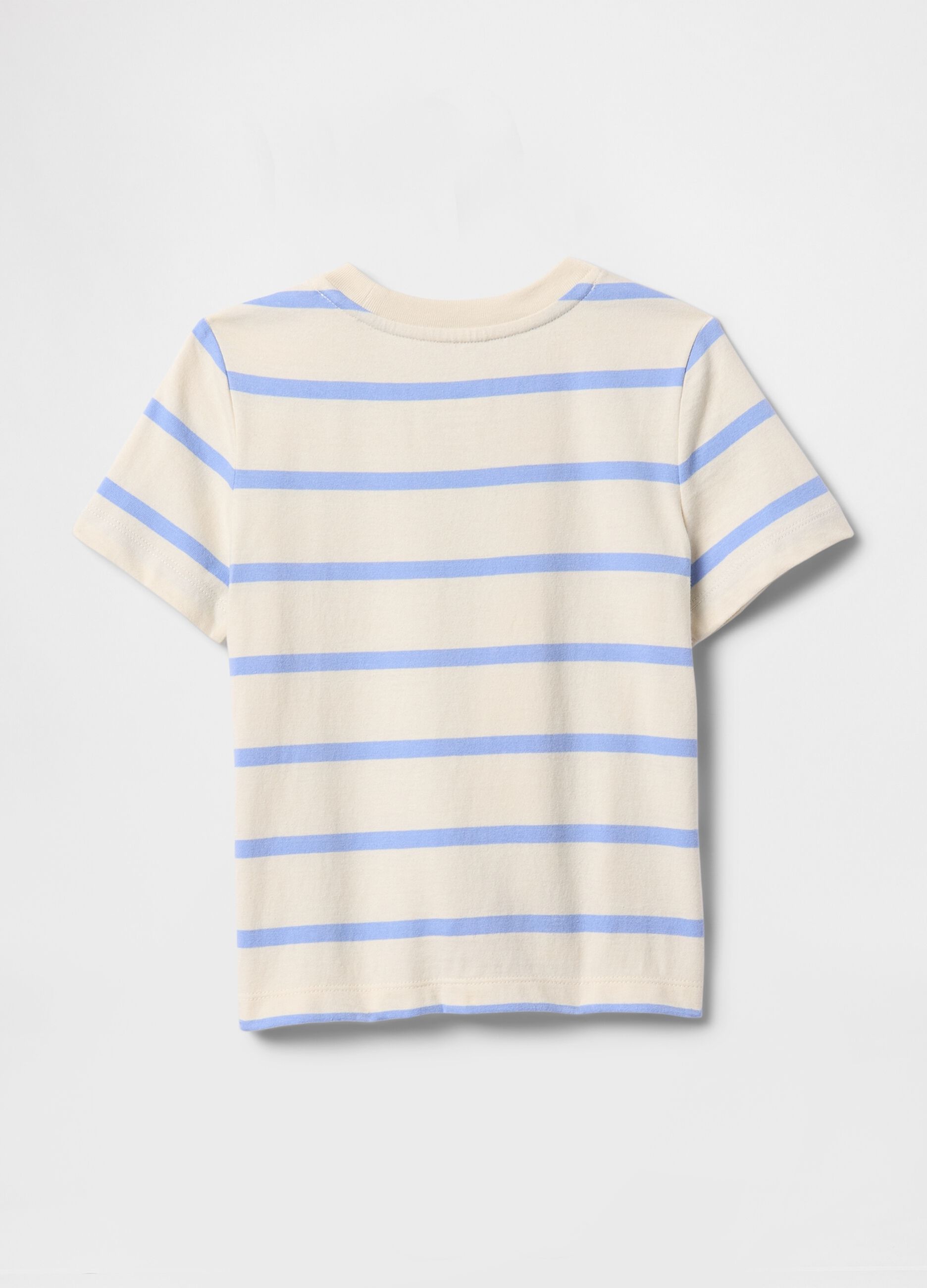 Horizontal Stripe Cotton T-shirt