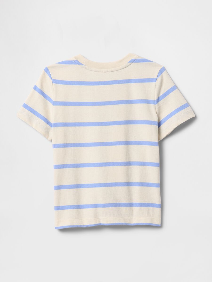 Horizontal Stripe Cotton T-shirt_1