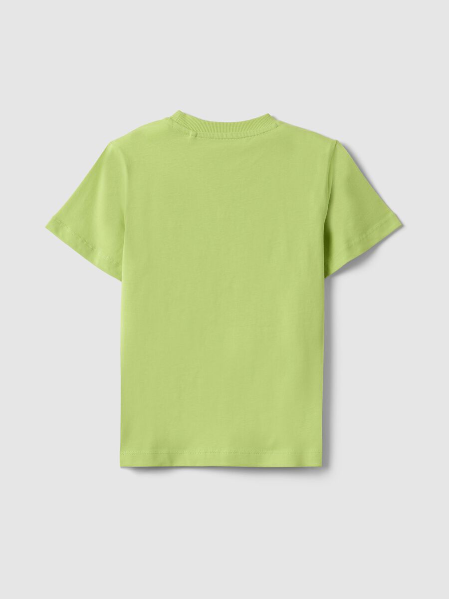 T-shirt in puro cotone verde regular fit per bambino con stampa_1