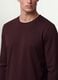 Brown long-sleeve T-shirt in pure organic cotton with crew neck_4