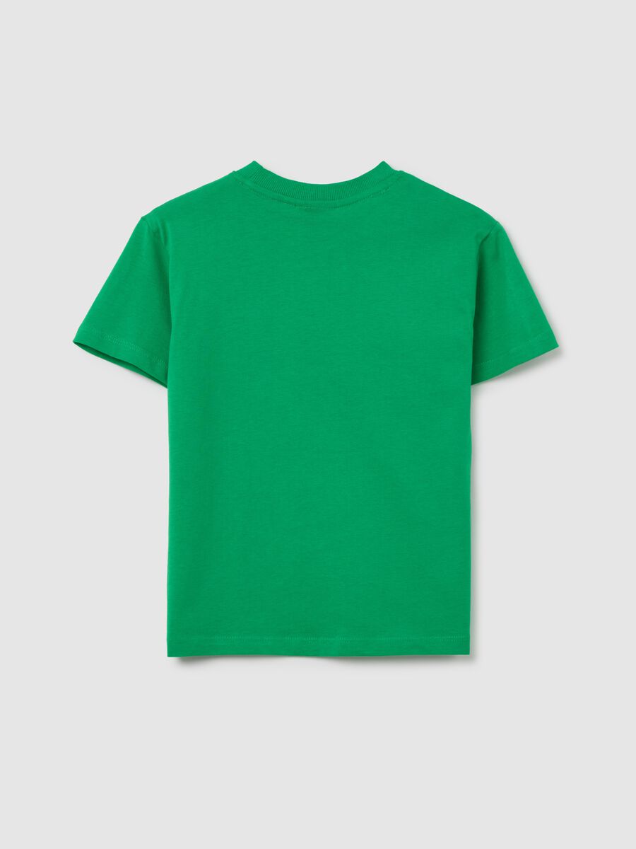 Green Celtics NBA Cotton T-shirt_1