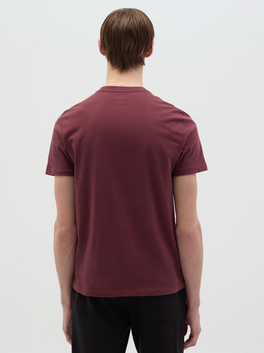 Organic cotton T-shirt_3