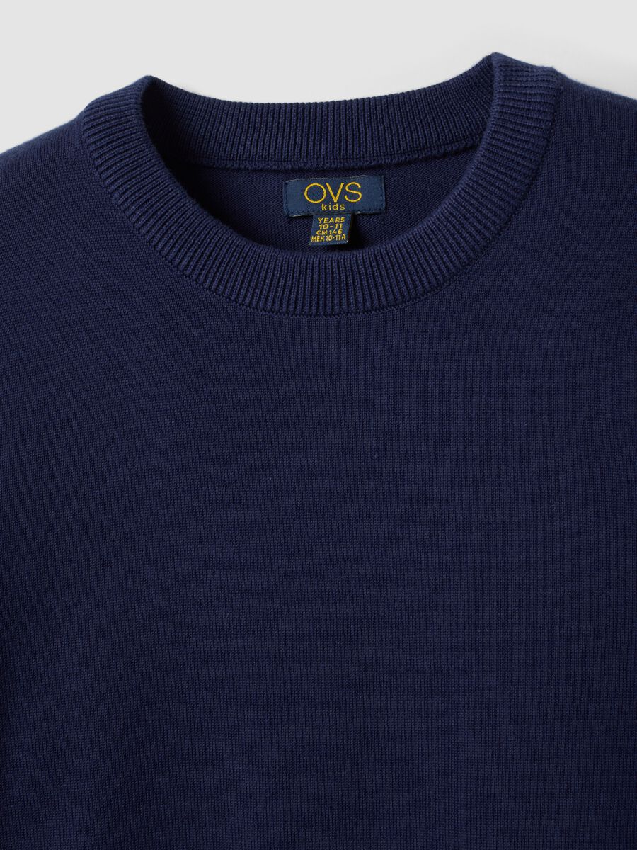 Blue long-sleeve pure cotton regular-fit top for boys_4