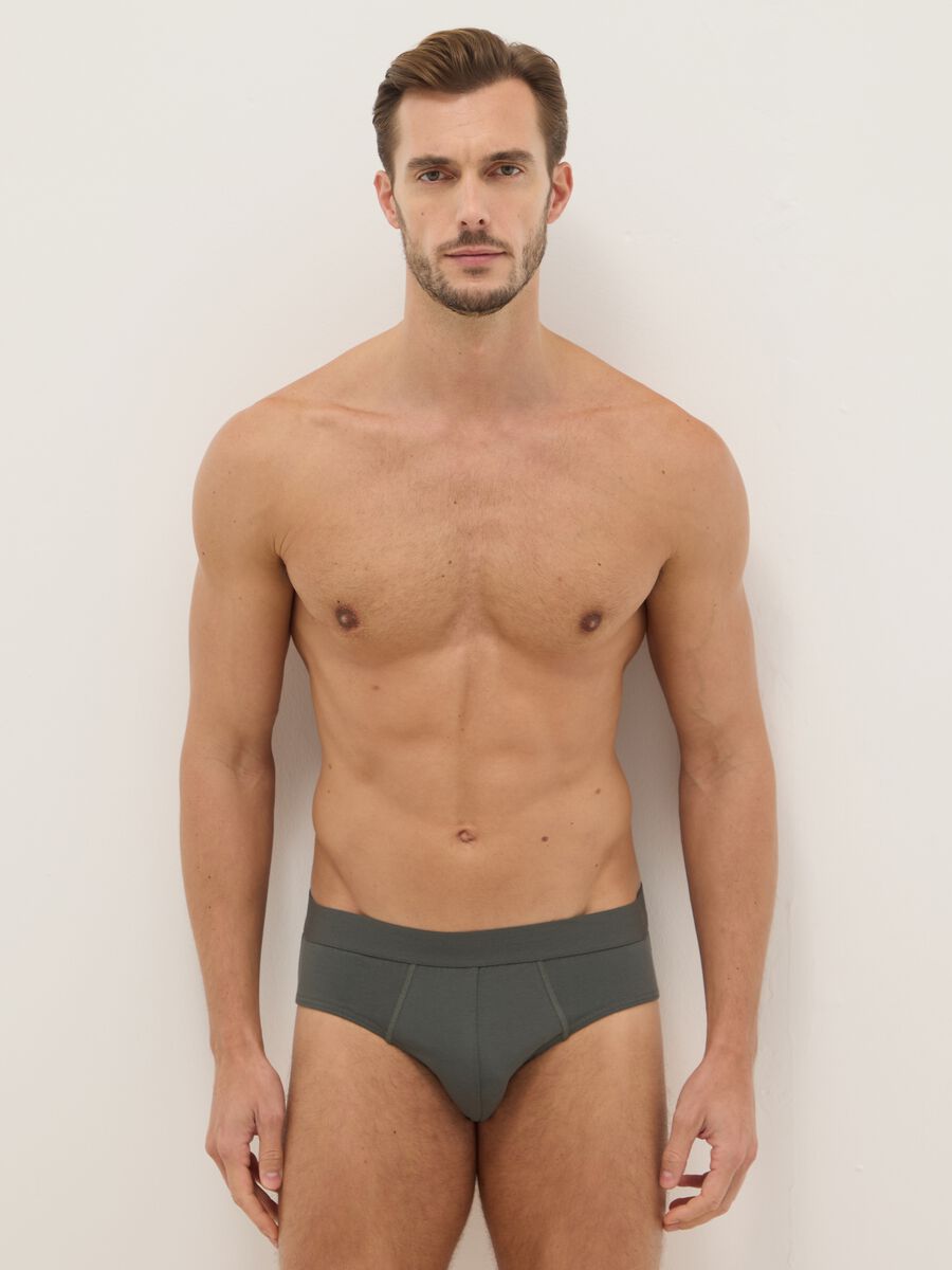 Multipack of regular fit multicolour stretch cotton briefs_0