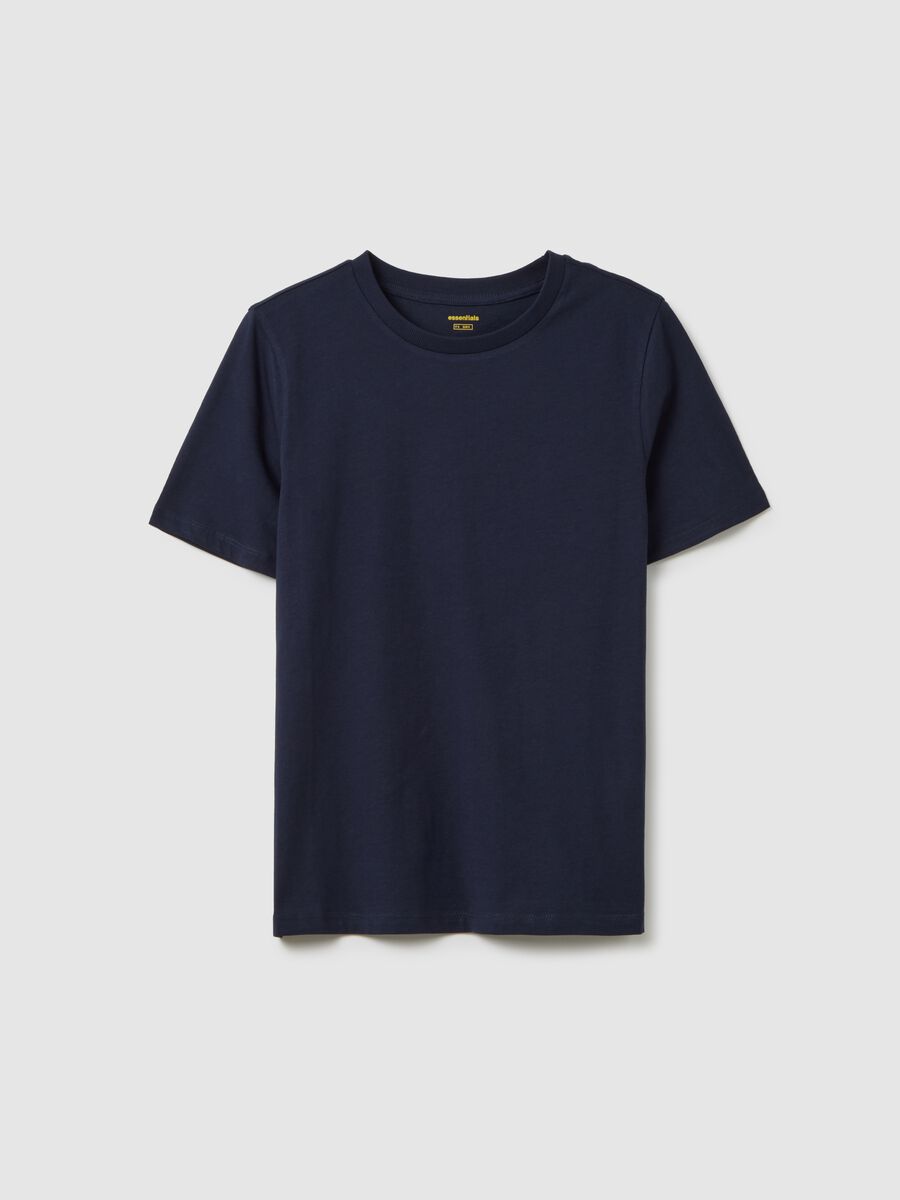 Blue Pure Cotton T-Shirt Regular Fit_4