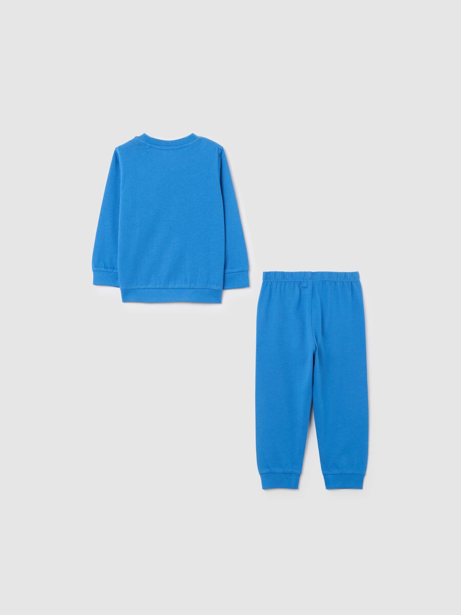 Light blue organic cotton pyjamas with chameleon print_1