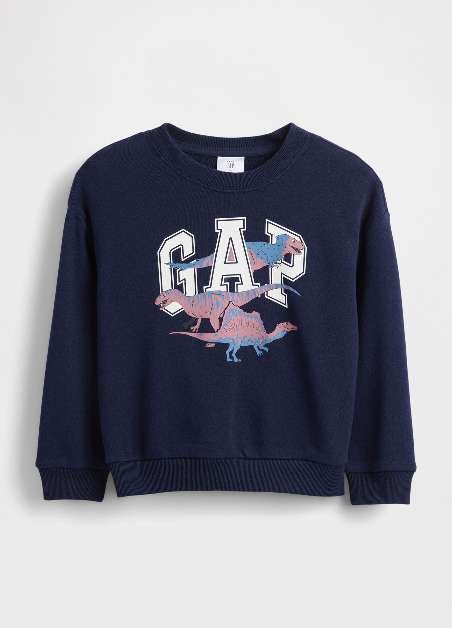 Blue Jumper with Dinosaurs