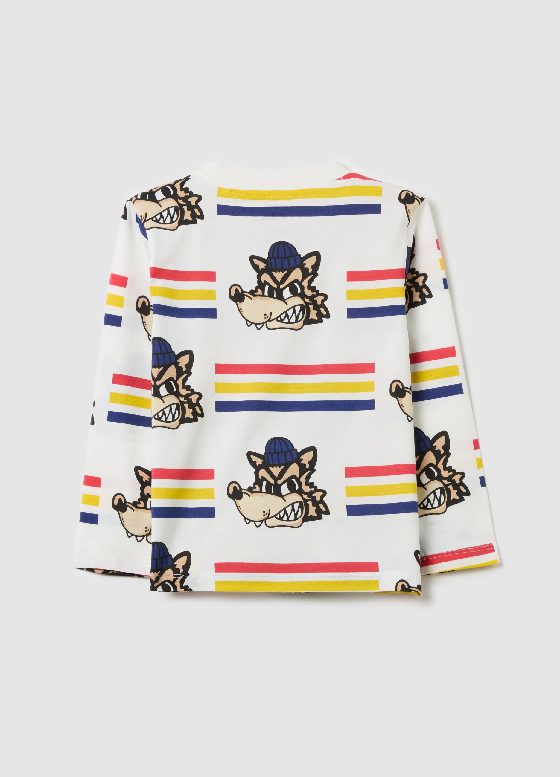 Long-sleeved T-shirt in cotton with print