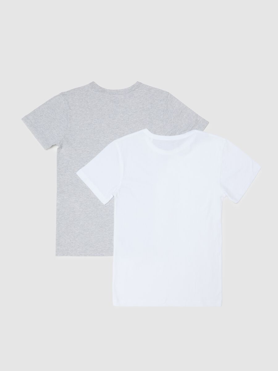 Bipack t-shirt da ragazzo in puro cotone multicolor regular fit_1