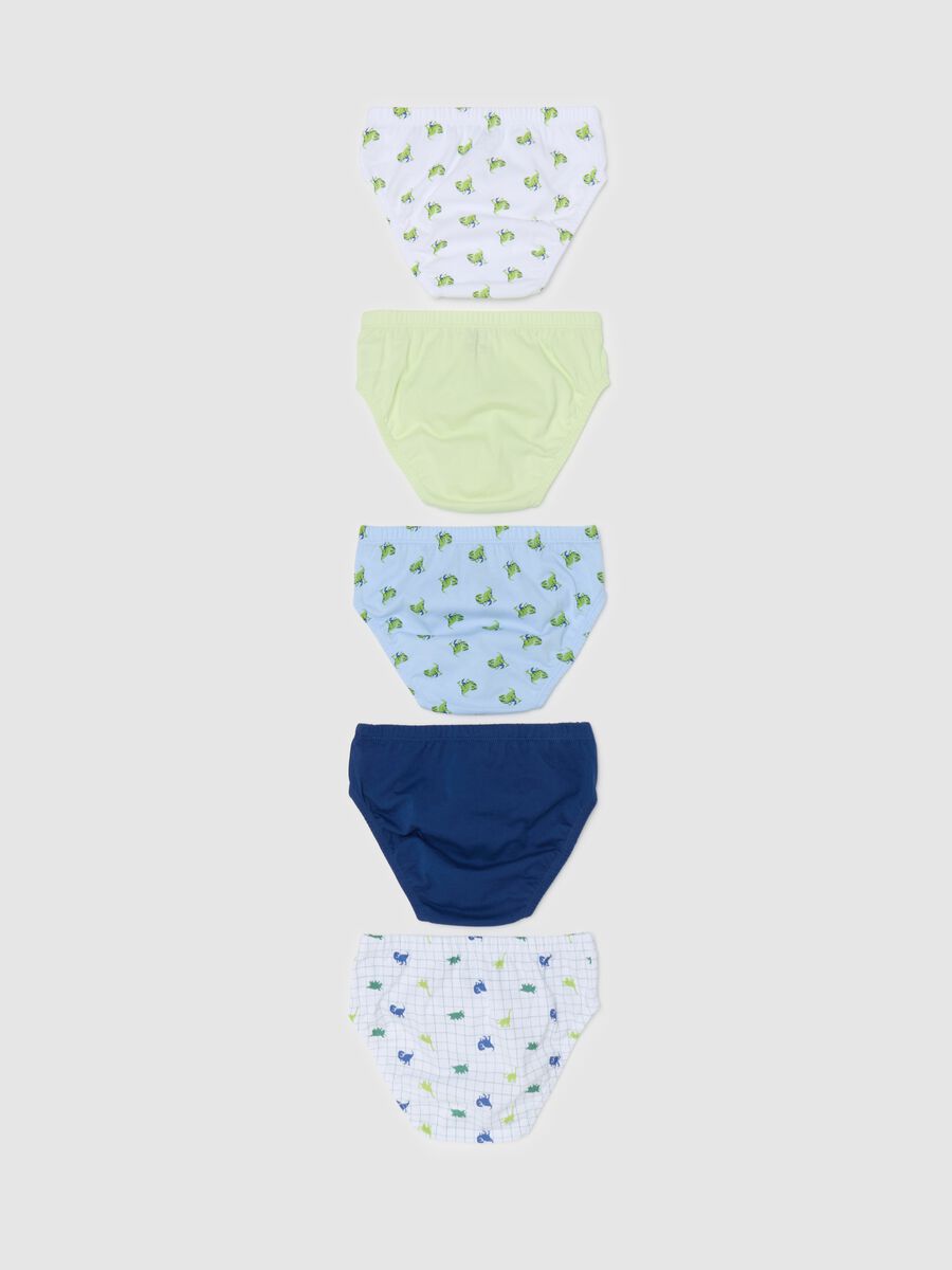 Five-pack cotton briefs with dinosaurs print_1