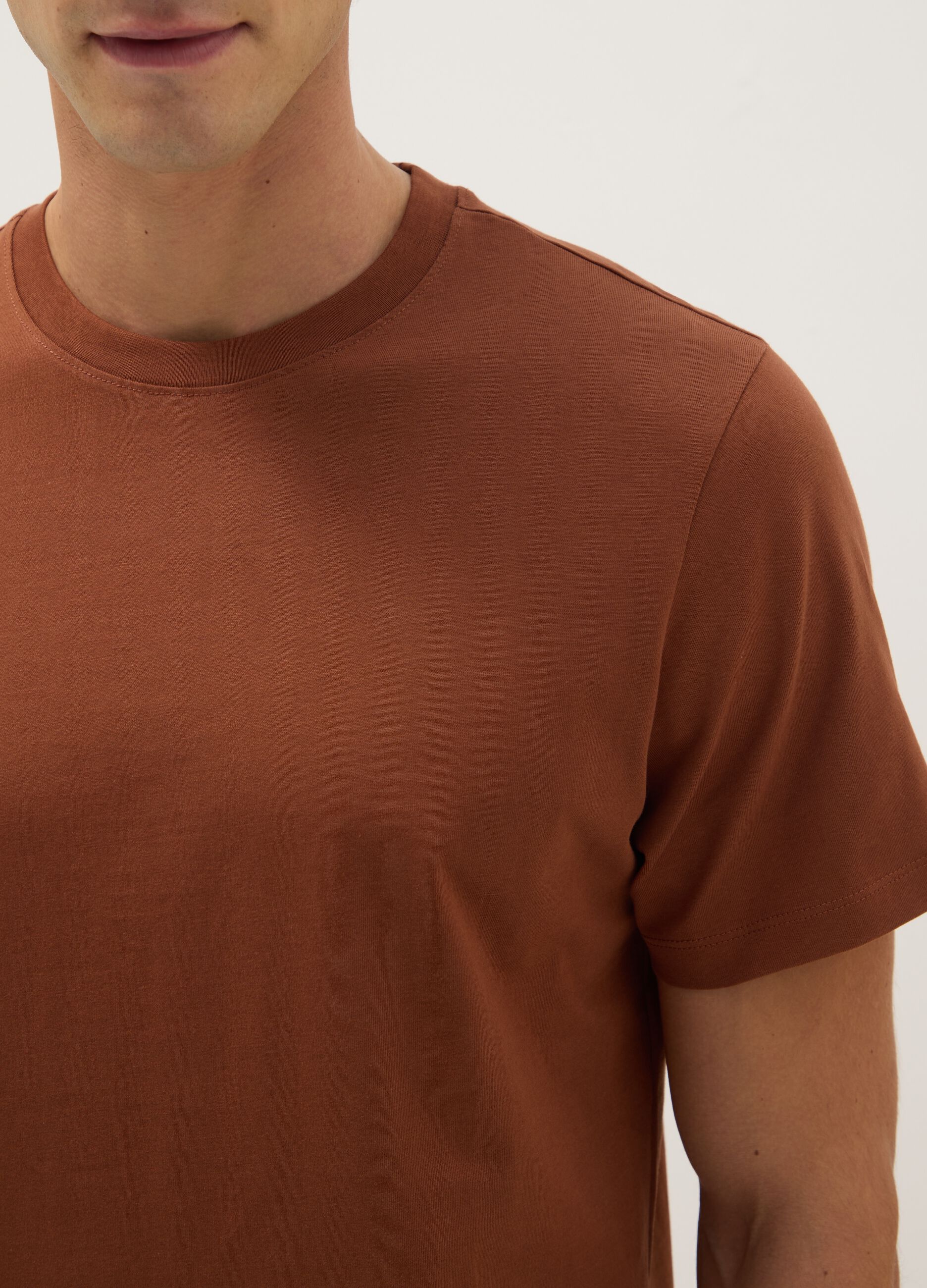 Regular fit brown pure cotton t-shirt