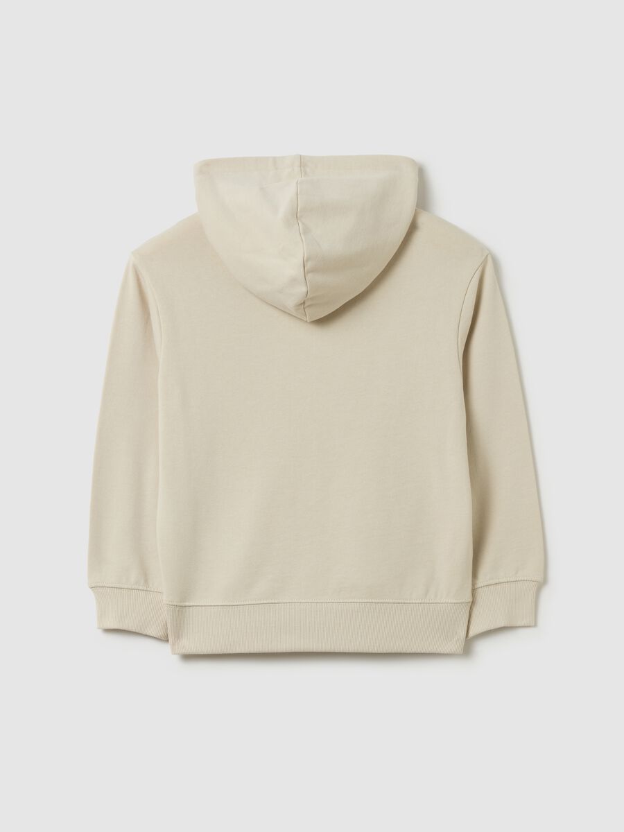 Sweatshirt with hood and "Jurassic Academy" print_1