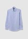Slim fit pure cotton striped shirt_4