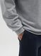 Grey regular fit pure cotton sweatshirt_3
