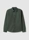 Regular fit green pure cotton shirt_0