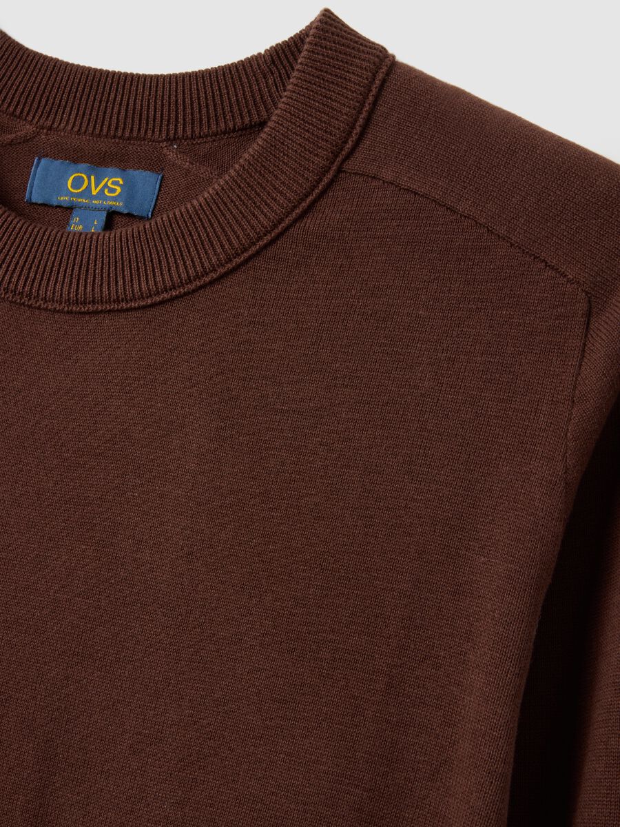 Brown pure cotton crew neck jumper regular fit_5