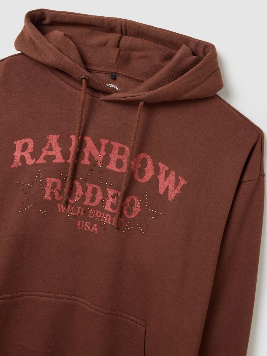 Brown Regular Fit Cotton Blend Sweatshirt_1