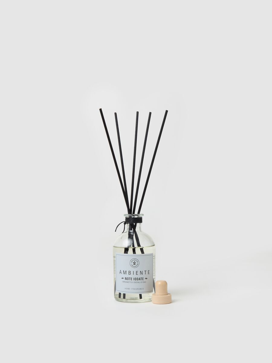 "Iodine Notes" diffuser_2