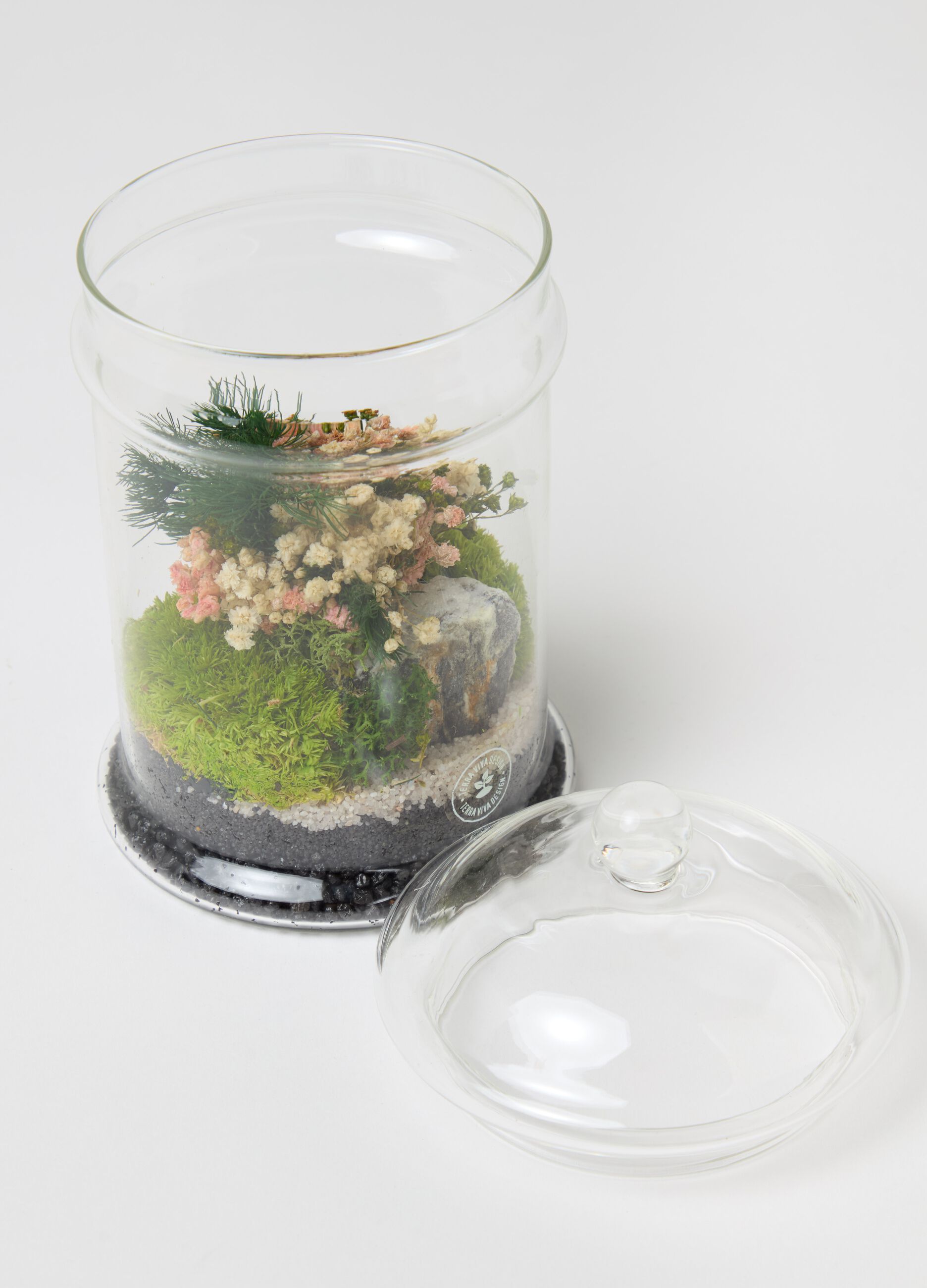 Evergreen Micro Terrarium