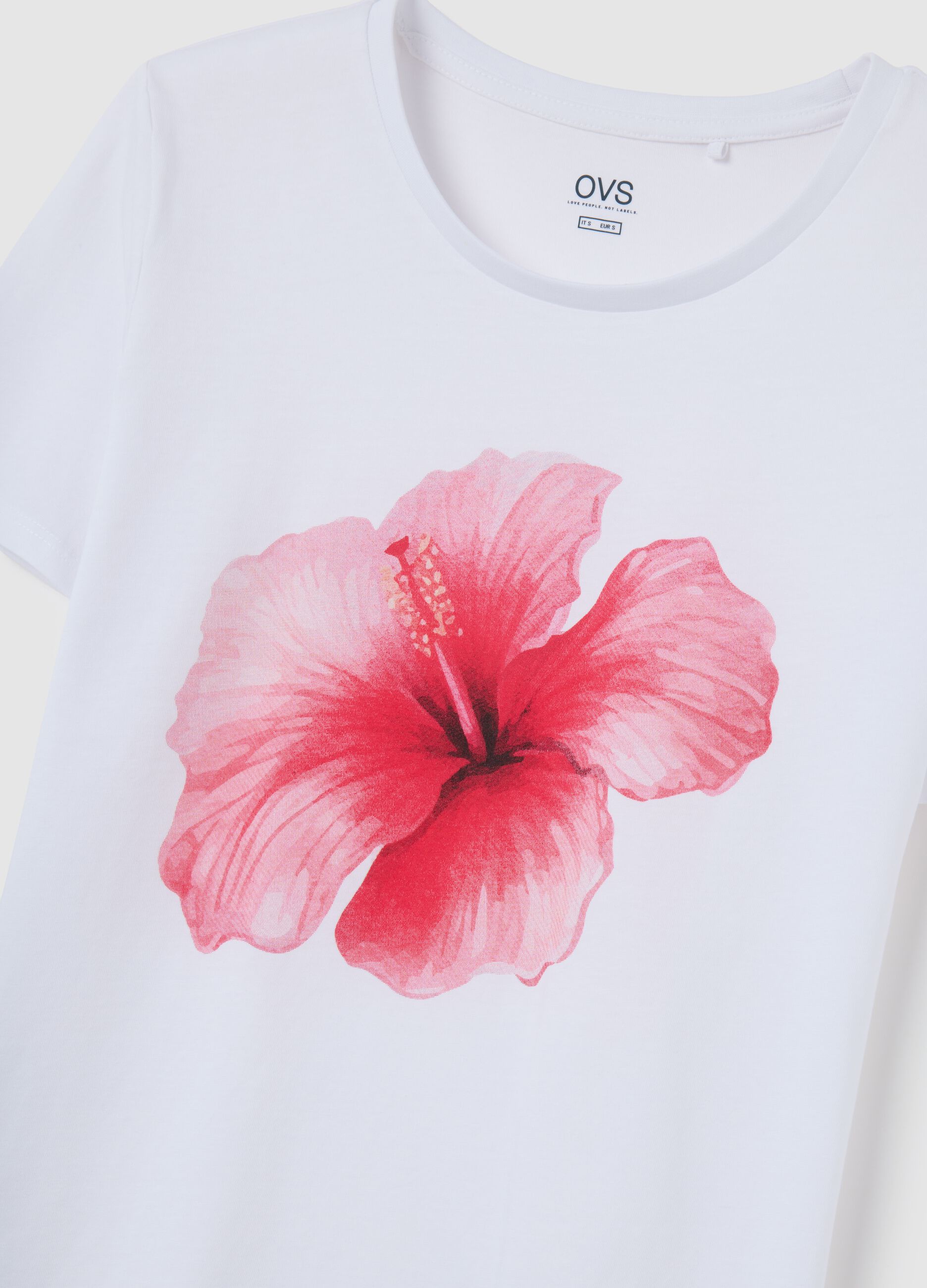 Women's multicolour pure cotton T-shirt with regular fit