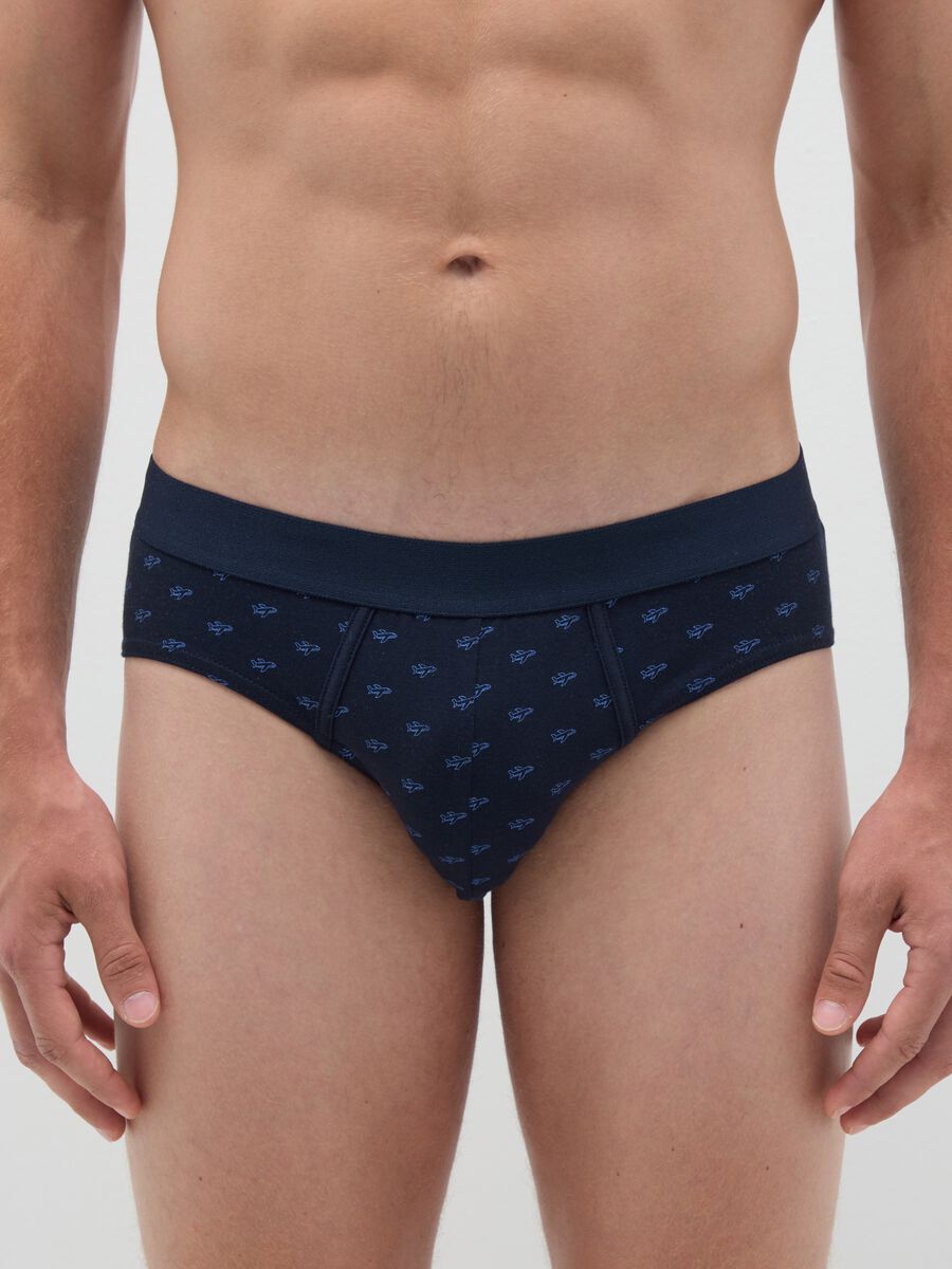 Set of Regular Fit Multicolour Cotton Briefs_1