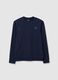 Boys' pure cotton blue relaxed fit sweatshirt_3