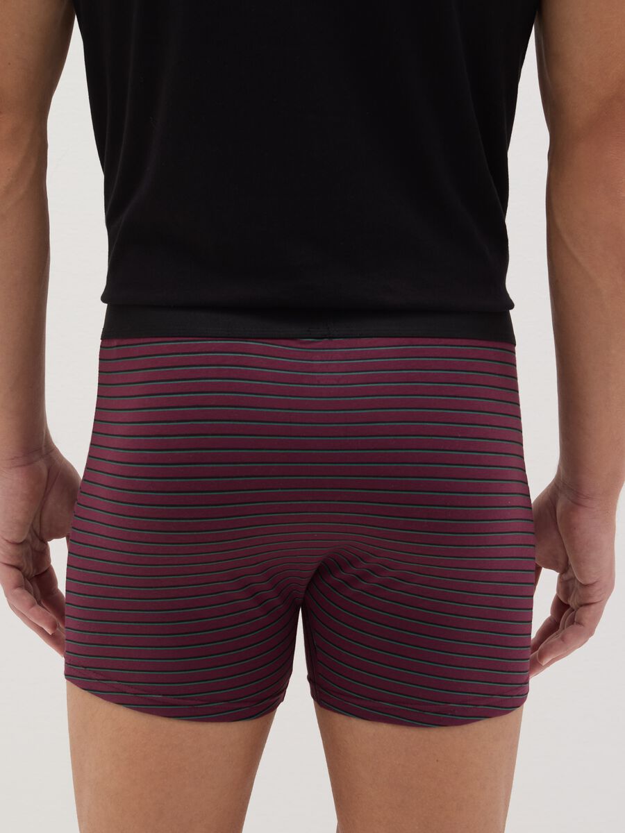 Three-pack boxer shorts in organic cotton with stripe pattern_3