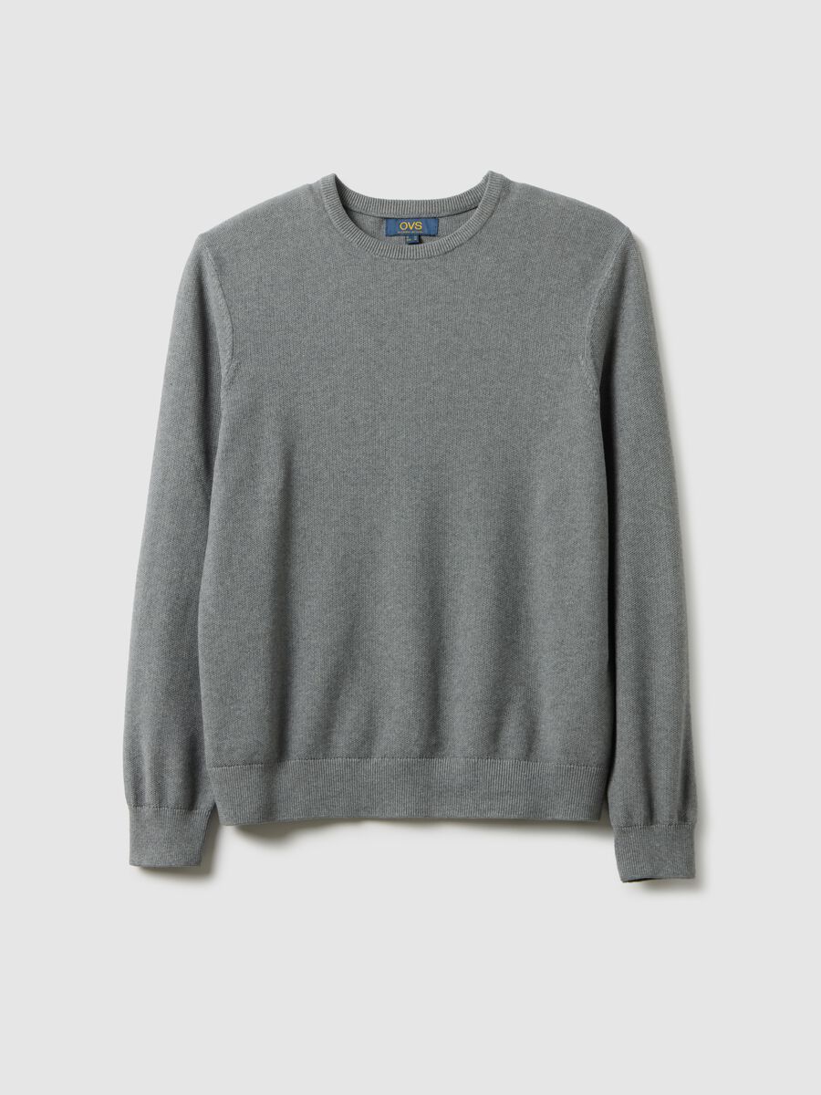 Grey crew neck pure cotton jumper in regular fit_4