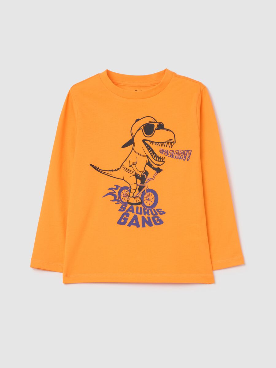 Long-sleeved T-shirt in cotton with print_0