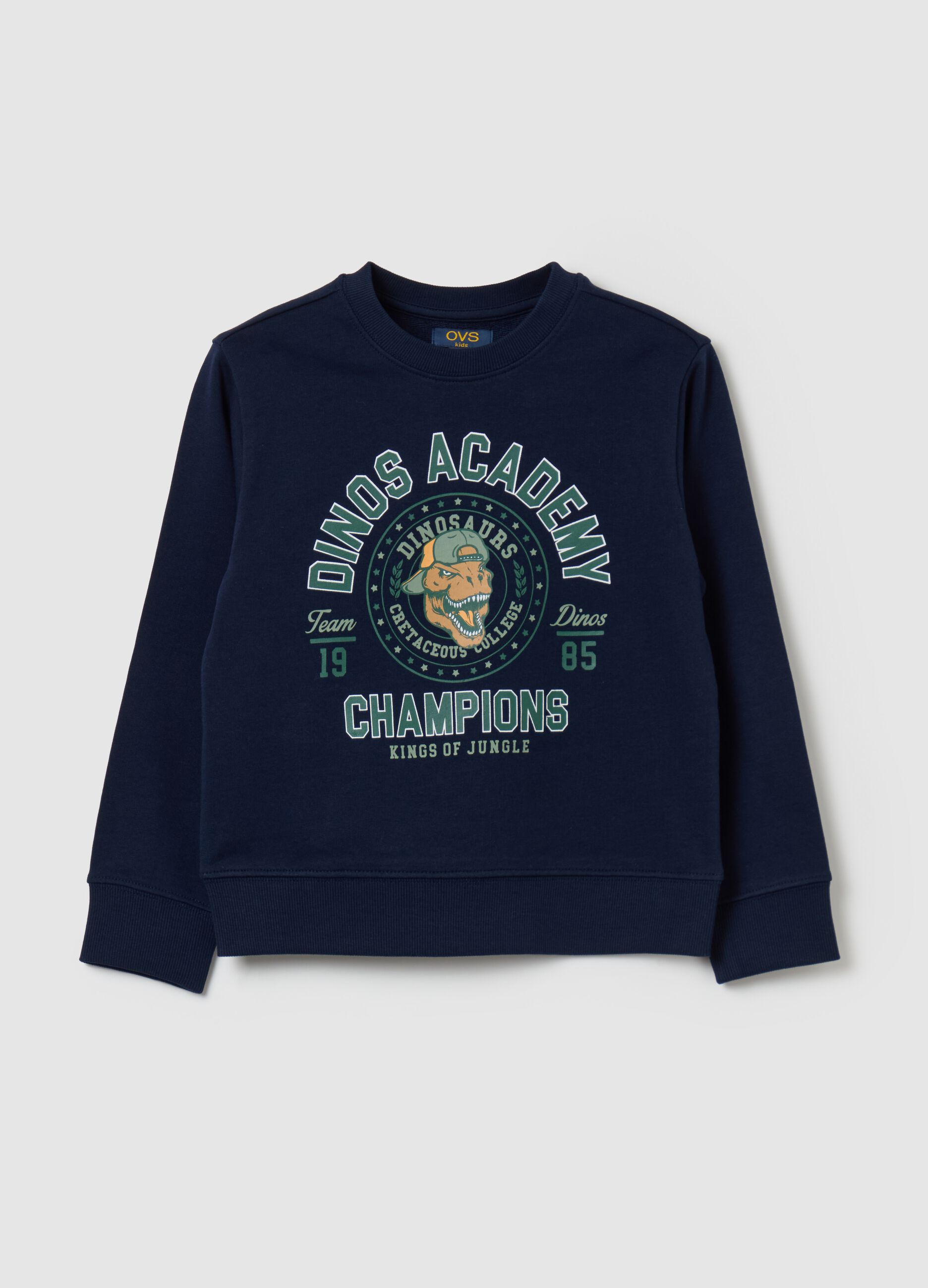 French terry sweatshirt with Dinos Academy print