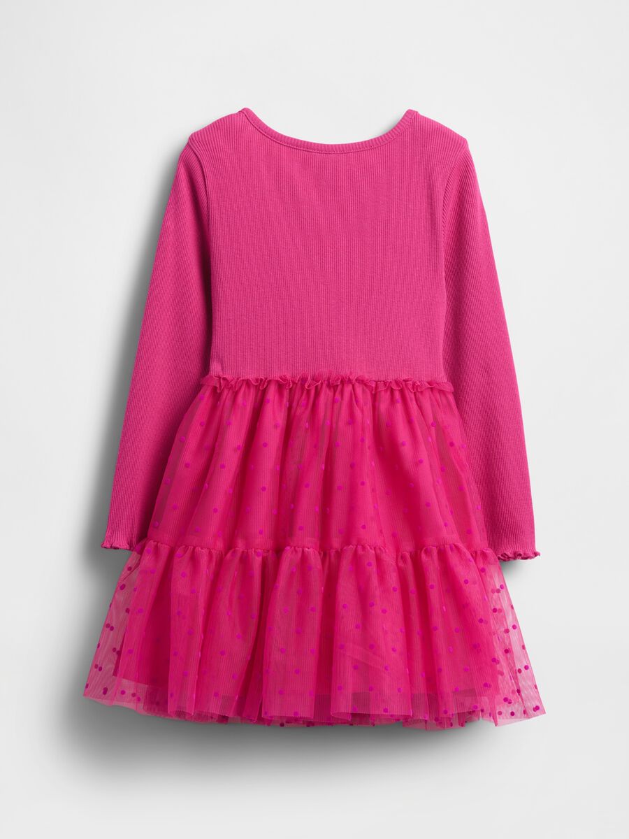 Pink Dress with Transparent Skirt_2