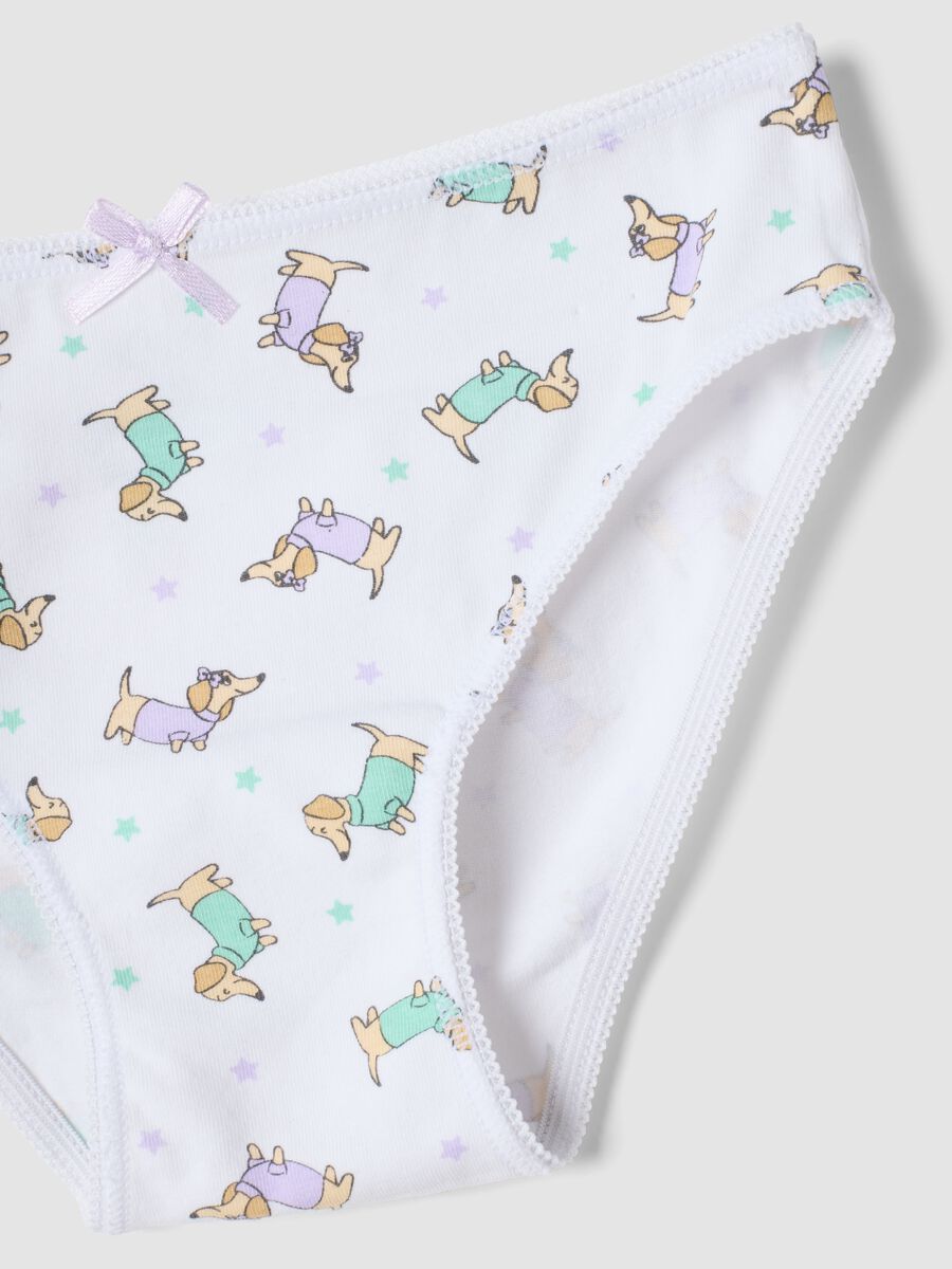 Seven-pack of multicolour organic stretch cotton briefs_2