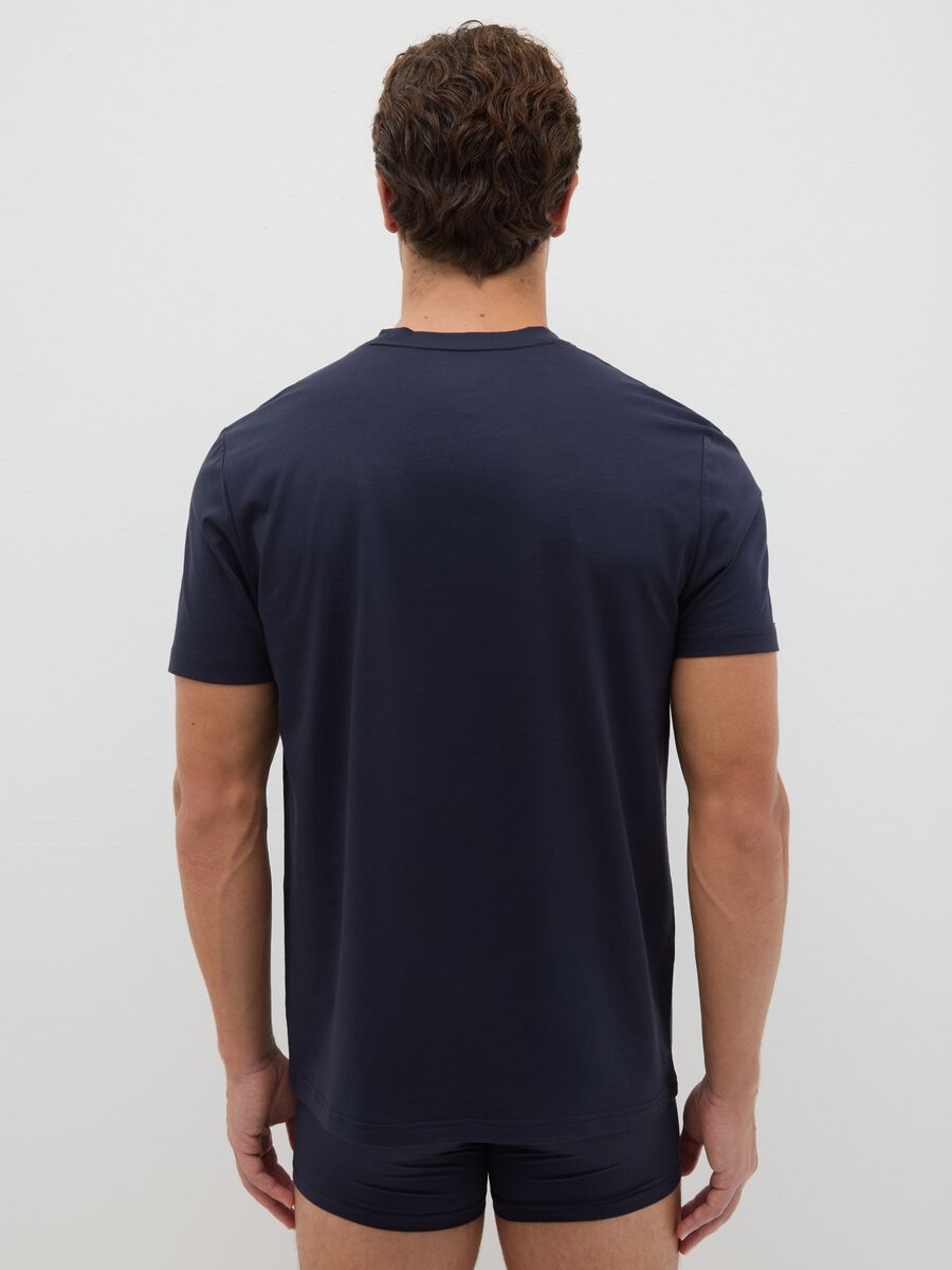 Blue pure cotton regular fit t-shirt_2