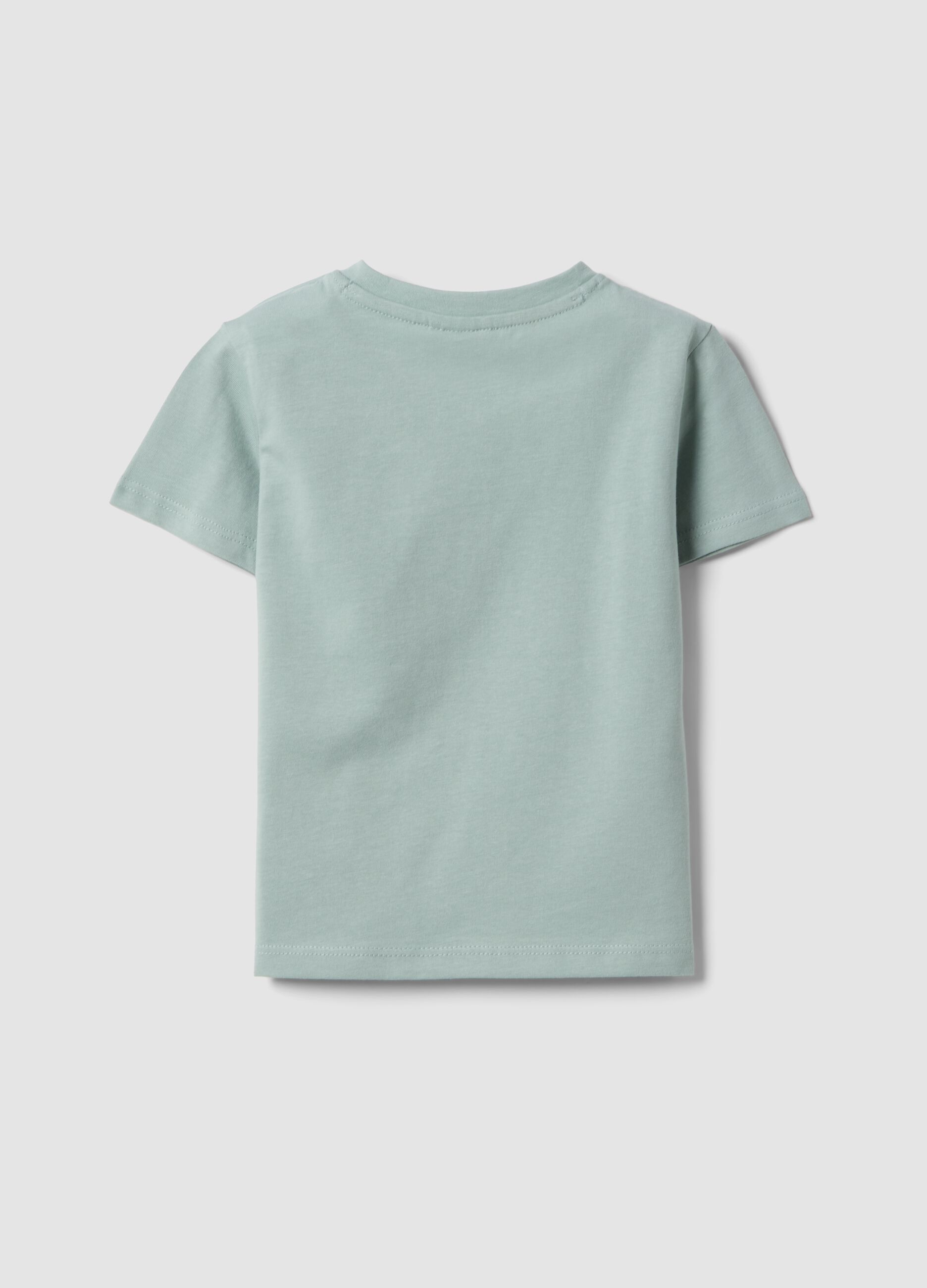 Grey pure cotton boys&rsquo; T-shirt with print