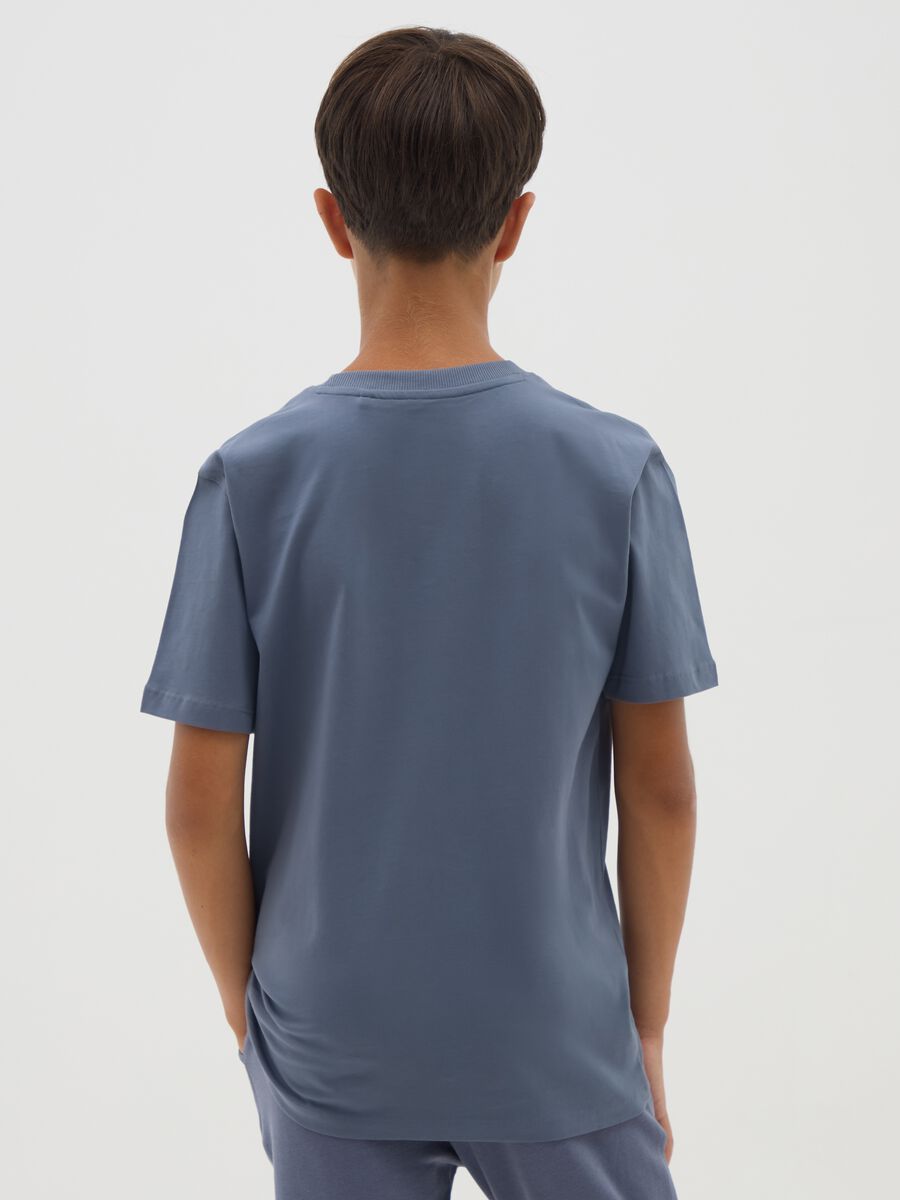 Boys' Blue Cotton Regular Fit T-shirt_2