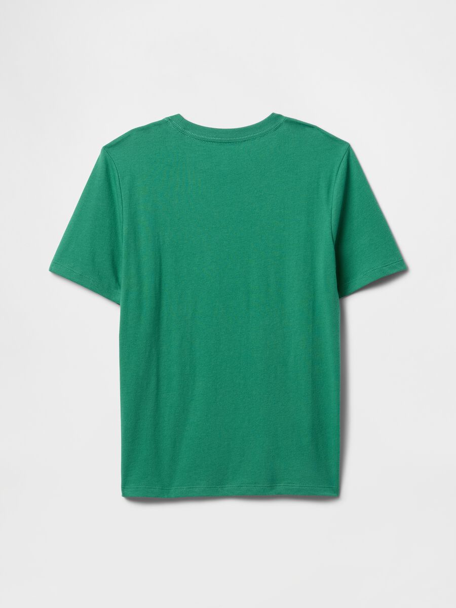 Green short sleeve cotton t-shirt for boys GAP Kids_1