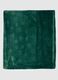 Green Blanket with Snowflake Pattern_2